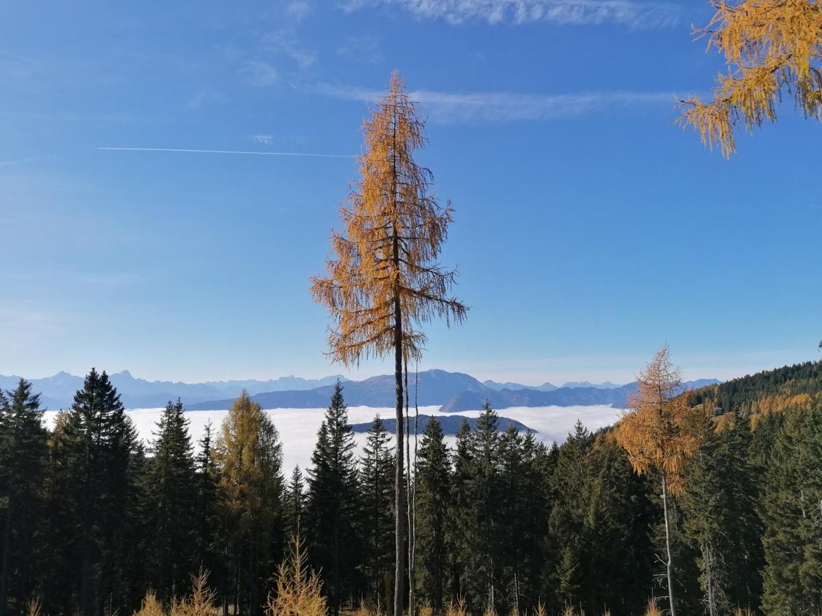 Gerlitzen Ferienappartement Paul Im Ski- Und Wandergebiet, Kanzelhoehe, Ossiacher See Deutschberg Exteriör bild